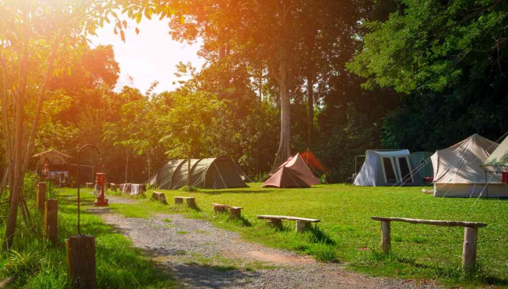 Group Campsite at Cascade River State Park