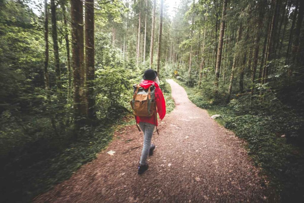 Hiking in the Forest at Father Hennepin State Park