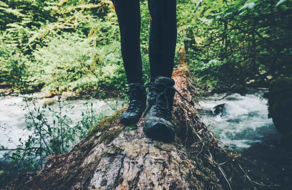 Hiking in the Woods at Cascade River State Park