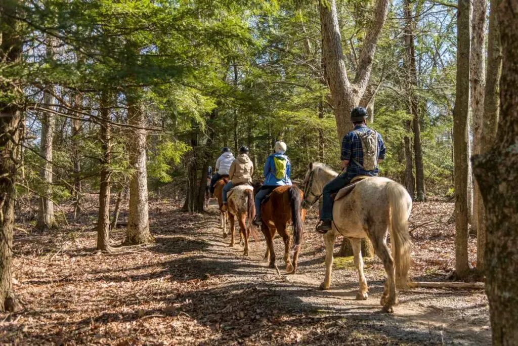 Horseback Riding at Mystery Cave State Park