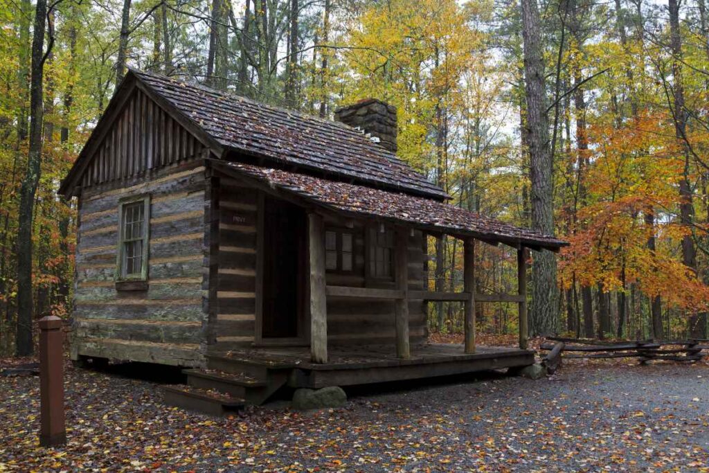 Rustic Cabin