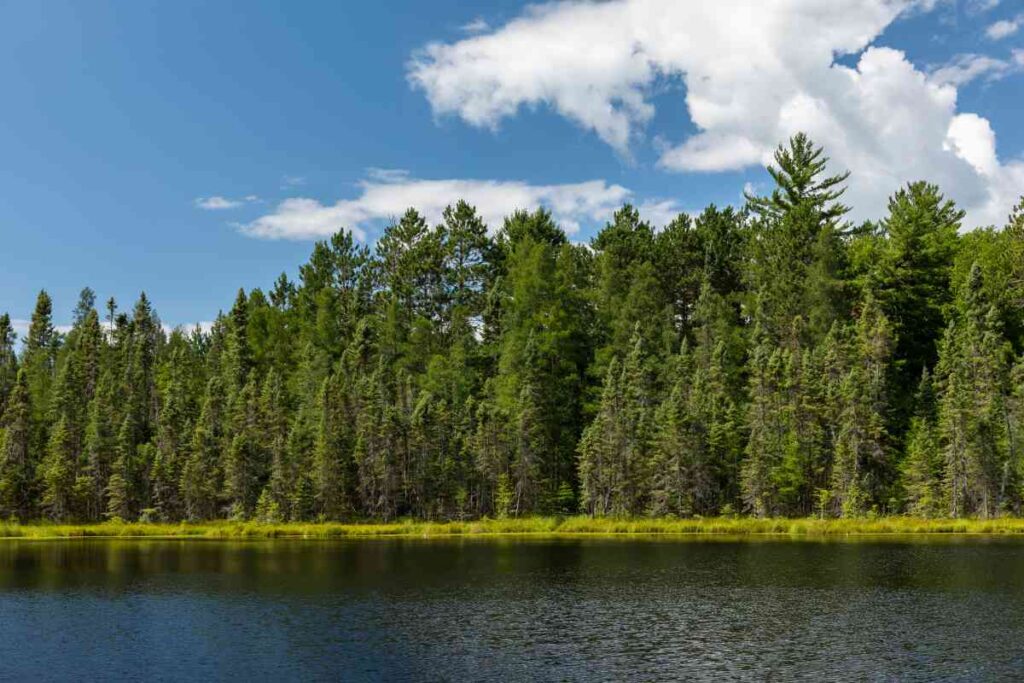 Savanna Portage State Park