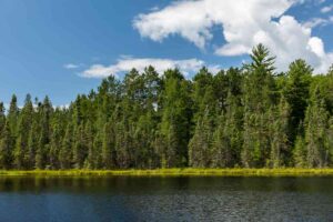 The Definitive Visitor's Guide to Savanna Portage State Park