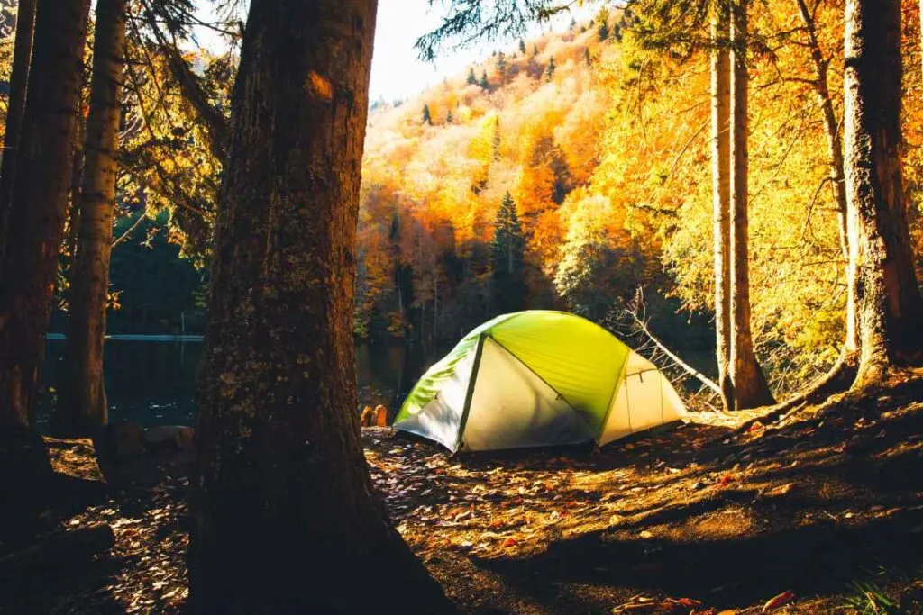 Tent Camping in Schoolcraft State Park