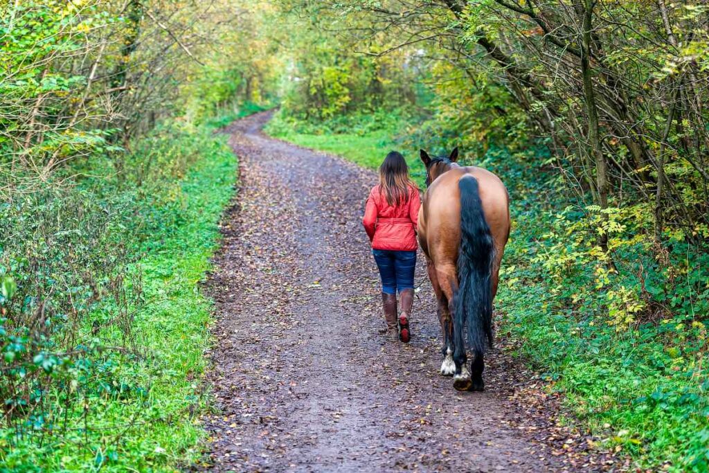 Walking with the Horse