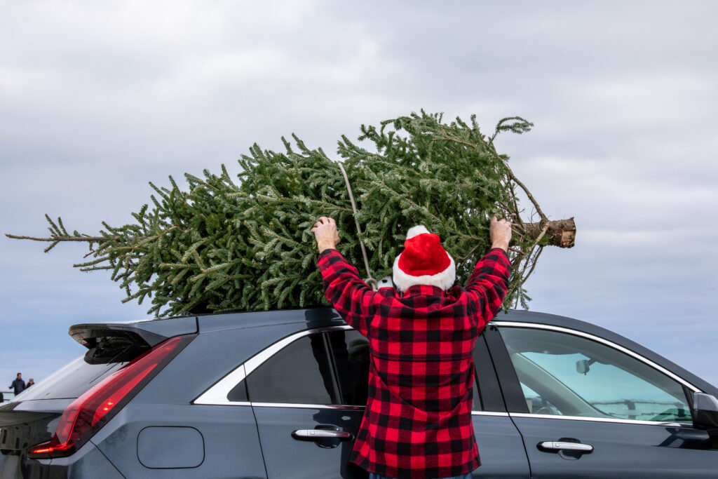 A man in a flannel and Santa hat ties a Christmas tree to the top of a car.