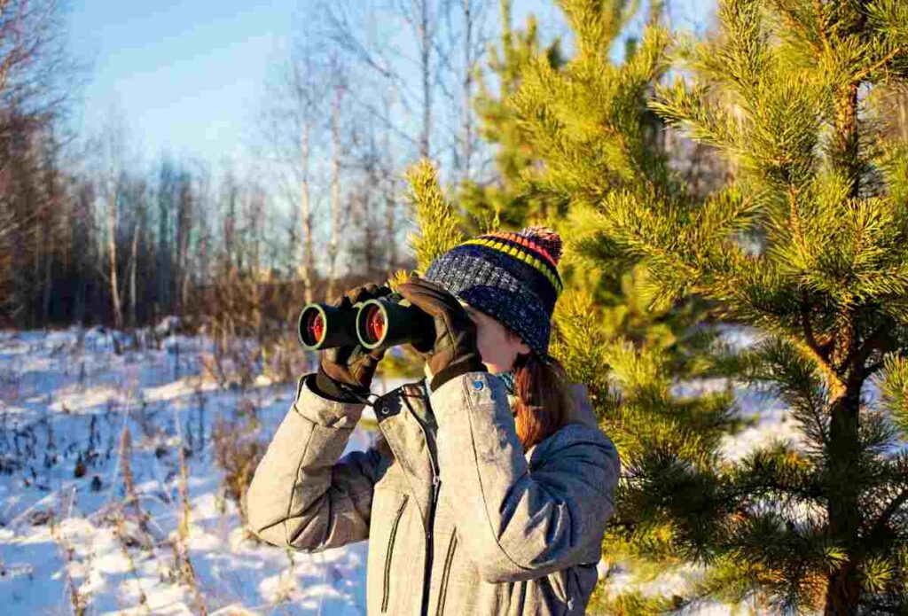 Birdwatching