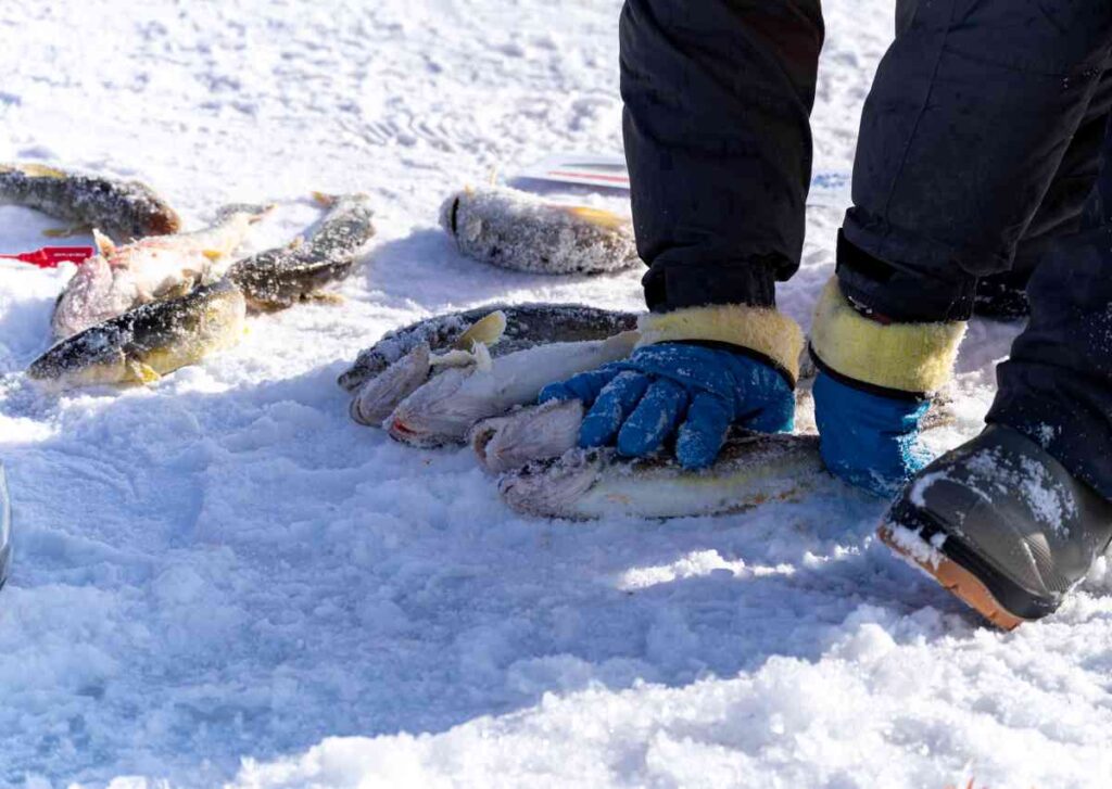 Insulated Ice Fishing Gloves