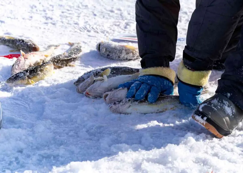 Insulated Ice Fishing Gloves
