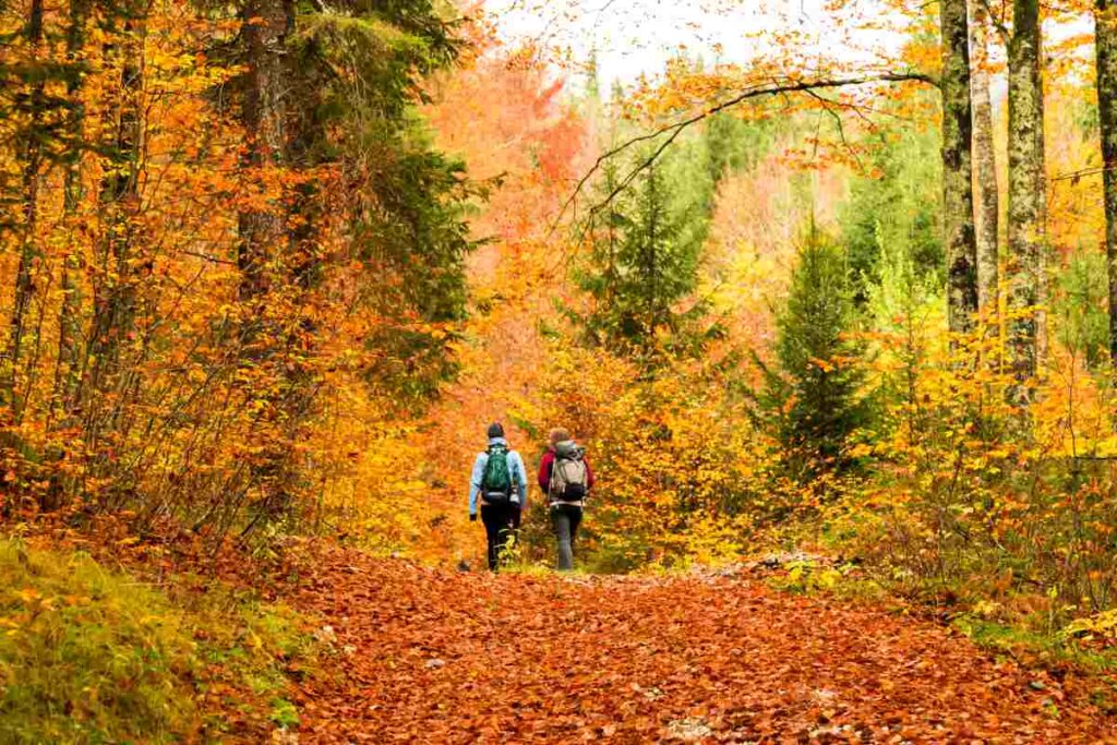 Two people hiking during a Minnesota fall.