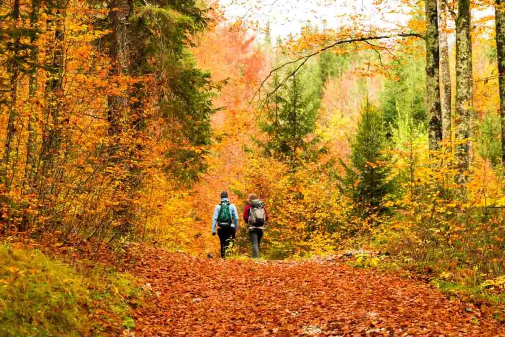Hiking in Autumn