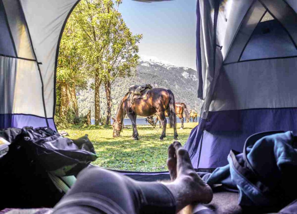 Camping With Horses