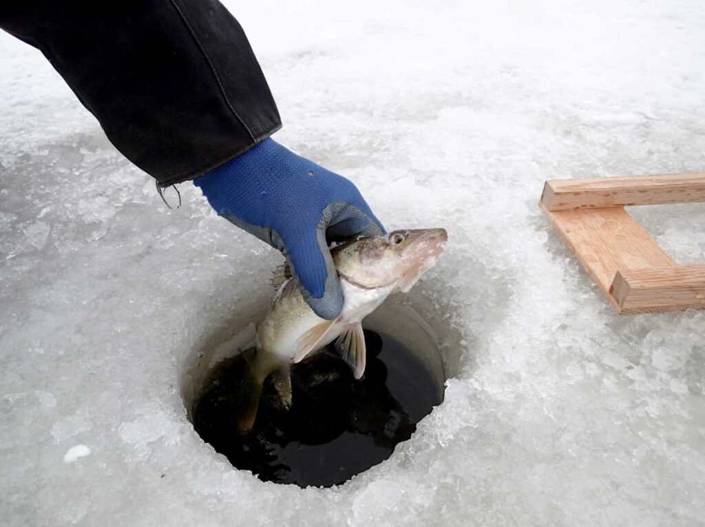 The Best Ice Fishing Gloves