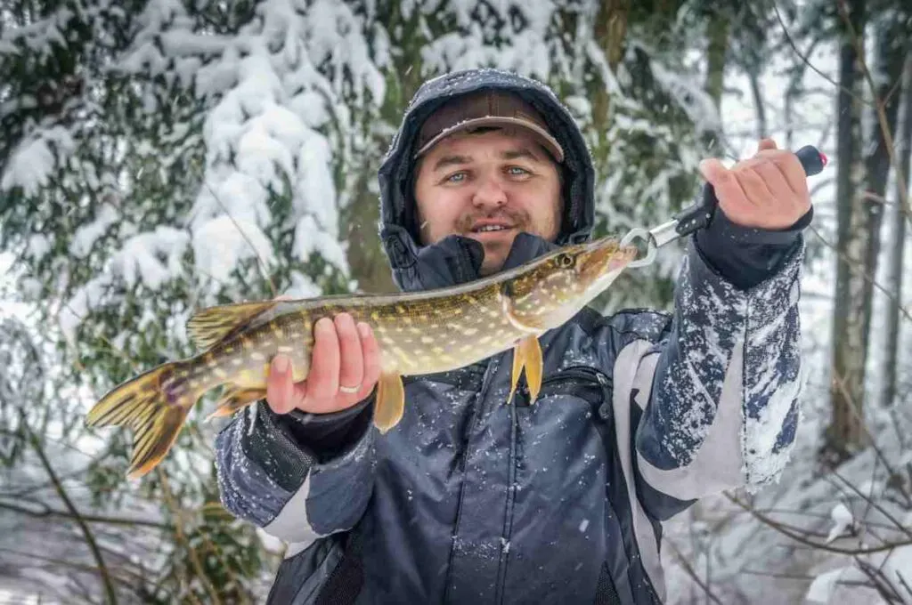 Ice Fishing Northern Pike