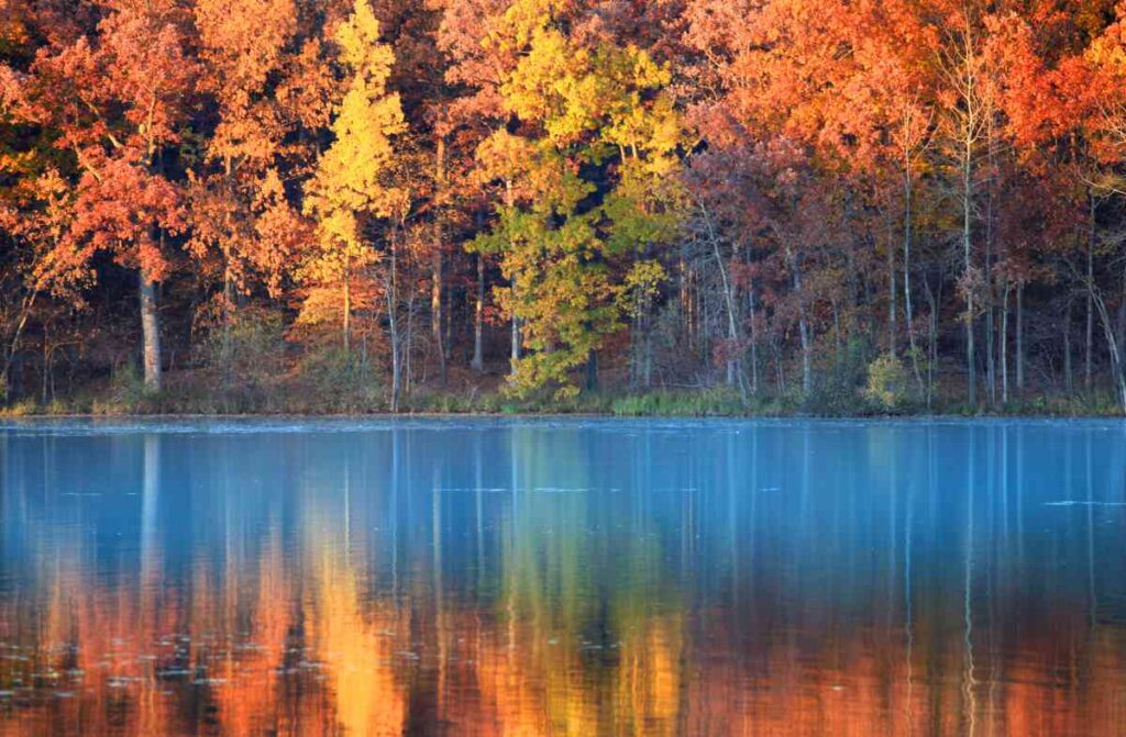 Lake Louise State Park