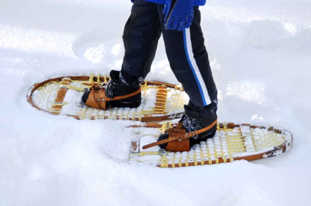 Snowshoeing at  judge c.r. magney state park