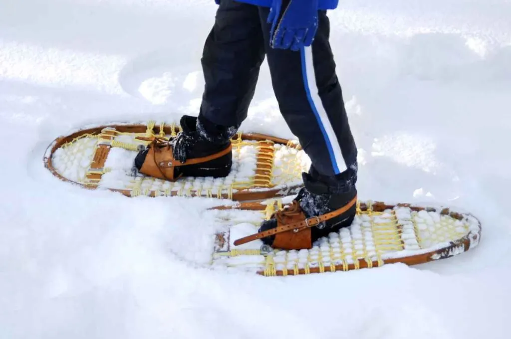 Snowshoeing at judge c.r. magney state park