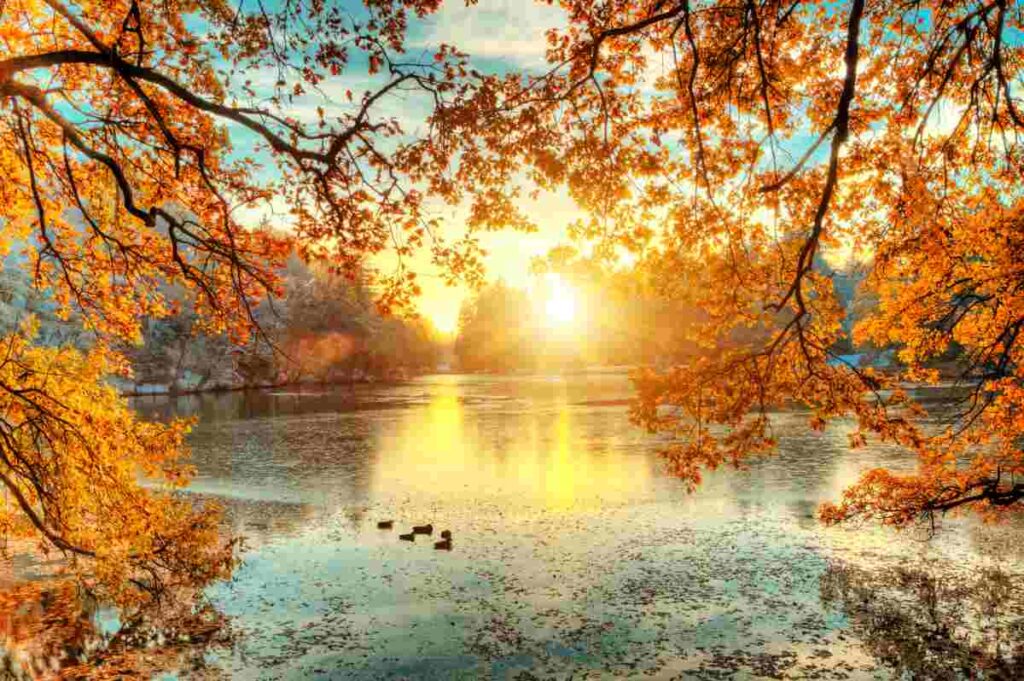 View of a lake in autumn.