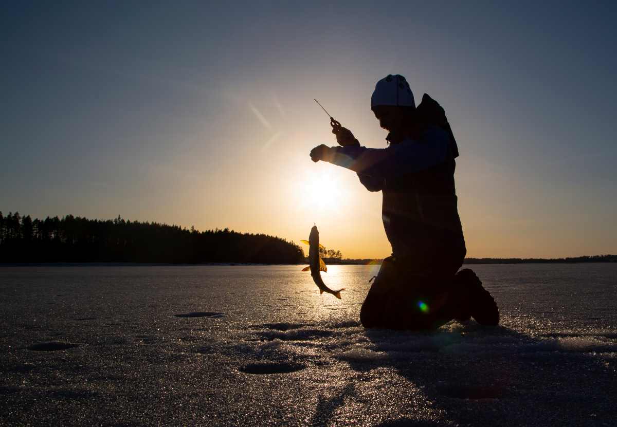 Best Ice Fishing Poles