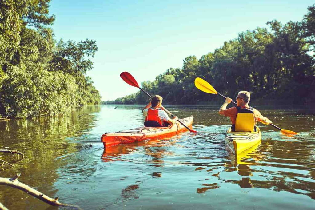 Canoeing at Big Bog State Recreation Area