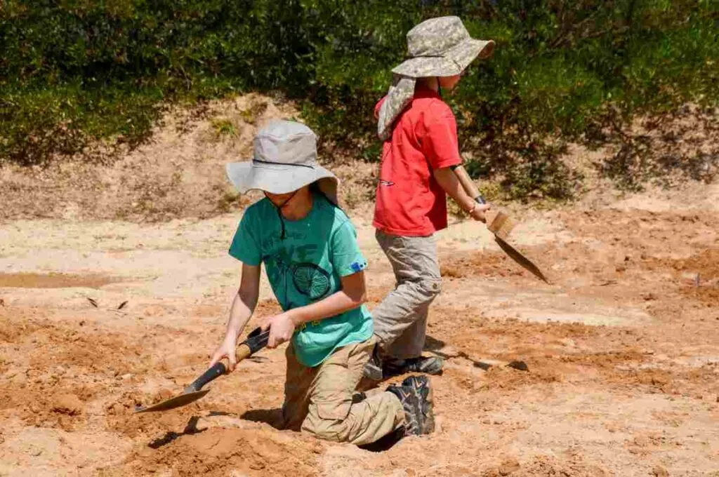 Digging for Fossils