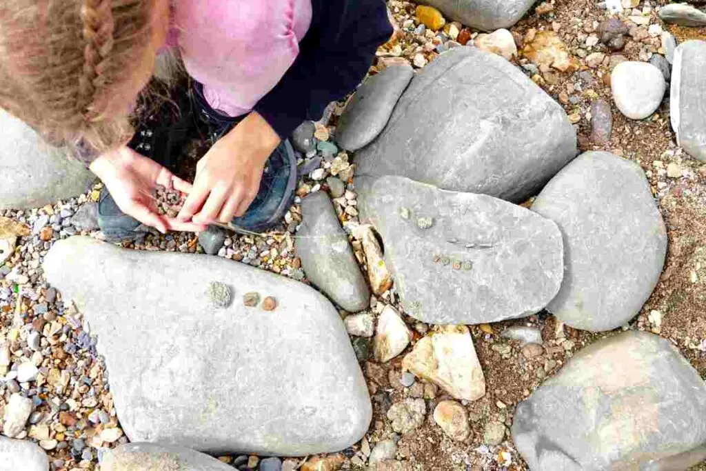 Fossil Hunting at Hill Annex Mine State Park