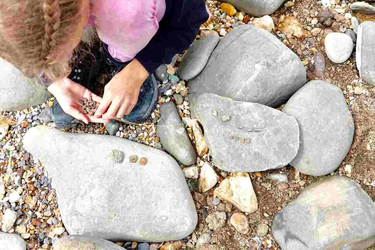 Fossil Hunting at Hill Annex Mine State Park