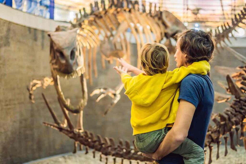 Science Museum of Minnesota Visitor's Guide