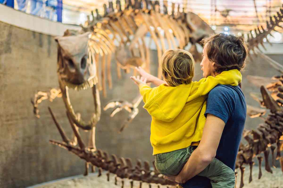 Science Museum of Minnesota Visitor's Guide