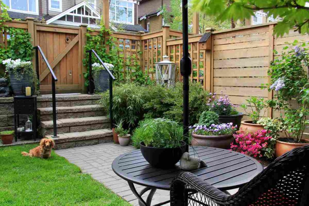 Small Backyard Ideas