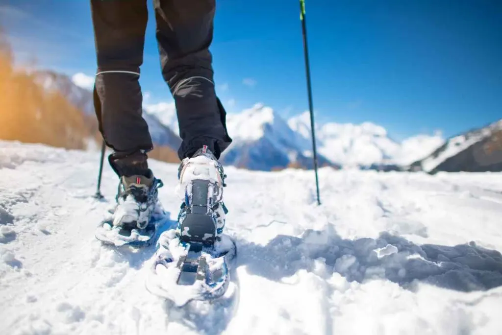Snowshoeing