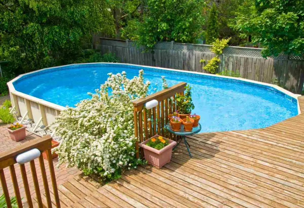 Backyard Pool Ideas on a Budget