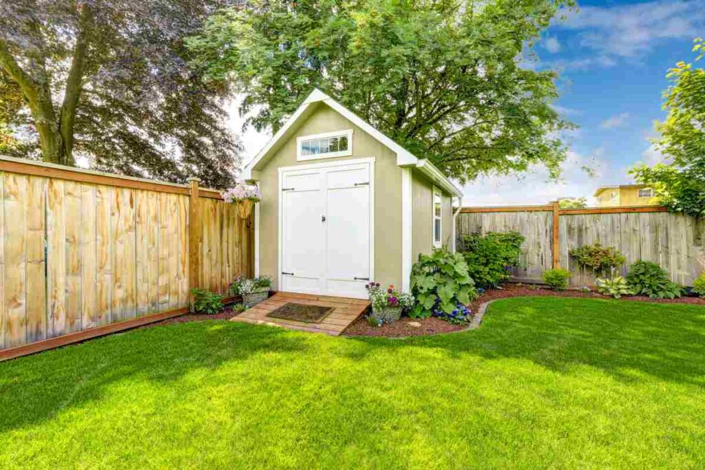 Best Backyard Shed