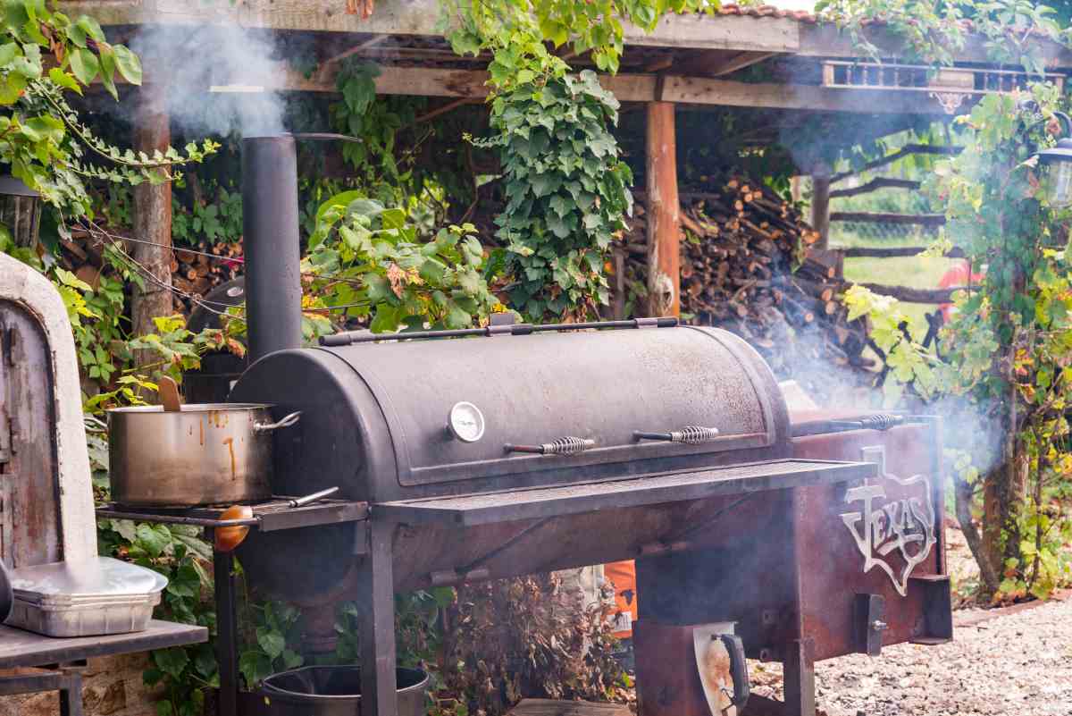 Best Backyard Smoker