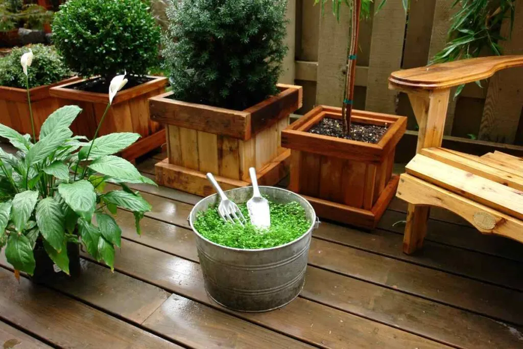 Backyard Deck Ideas for Plants
