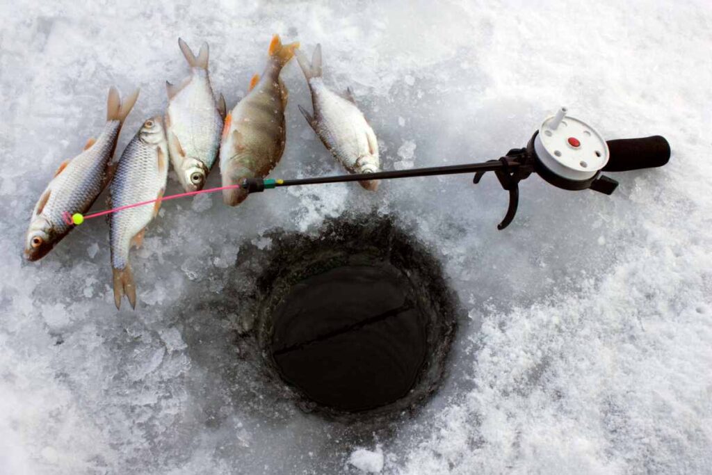 Ice Fishing Rods