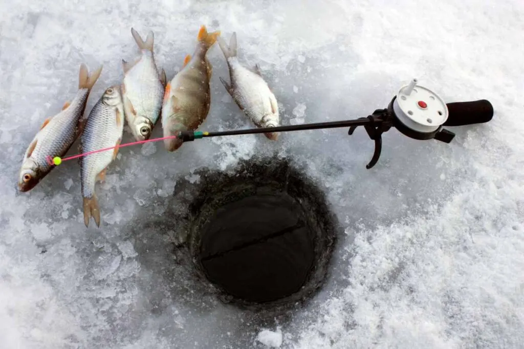 Ice Fishing Rods