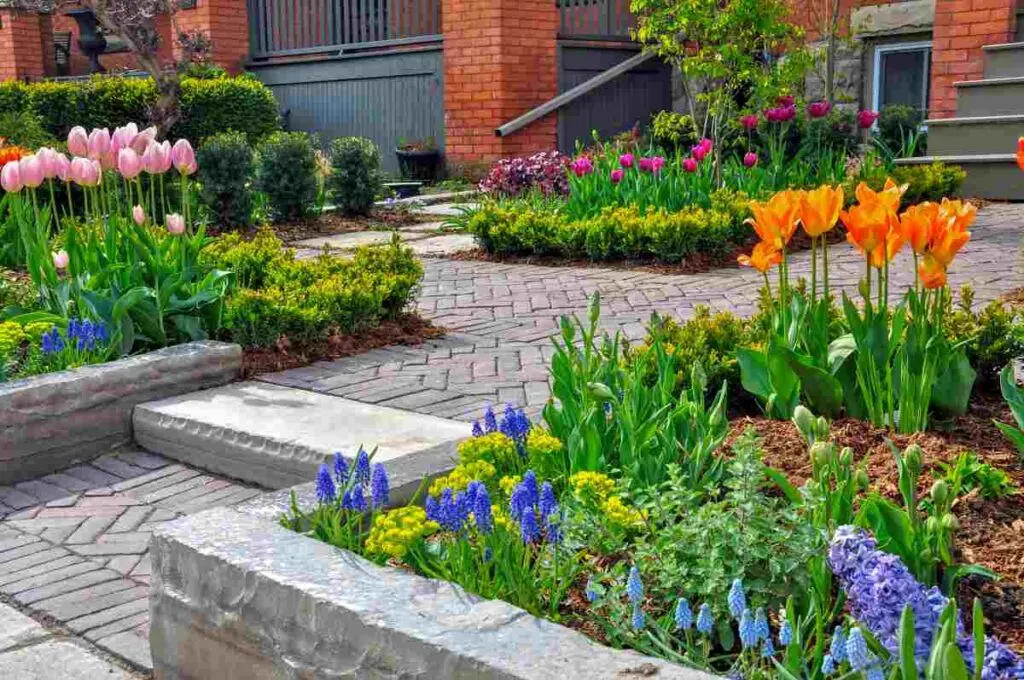 Paver Walkway