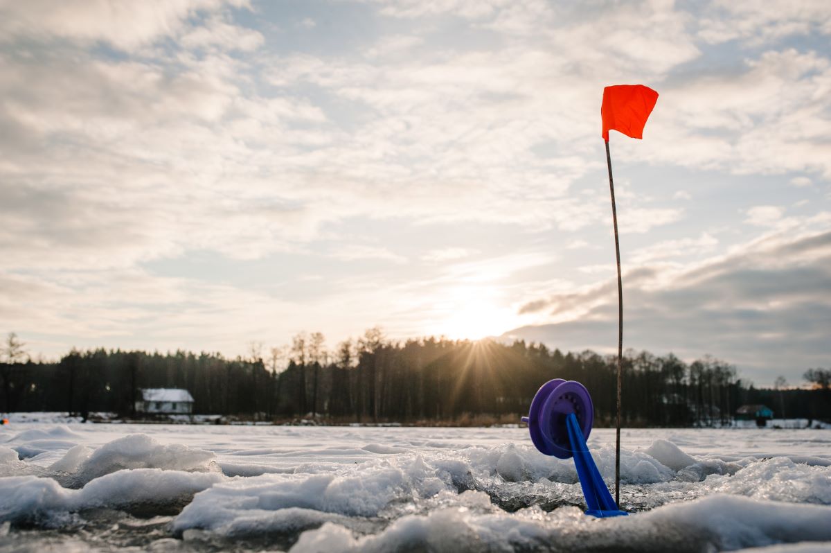 Best Ice Fishing Tip Ups