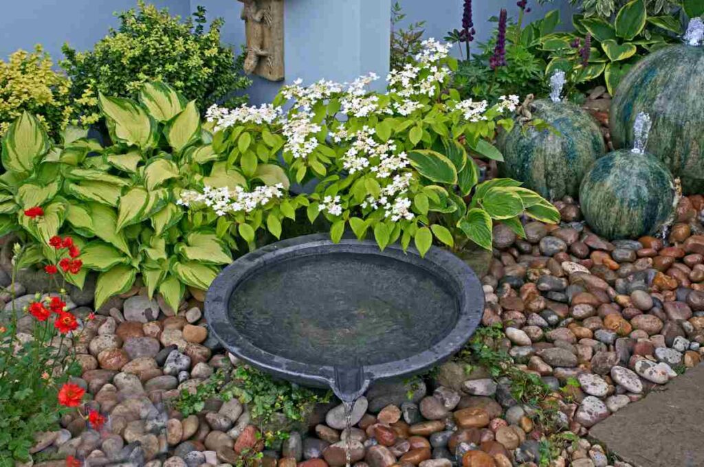 Water Features