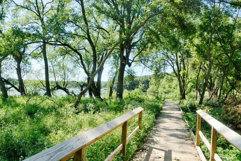 Walking trail with trees at Lake Okoboji