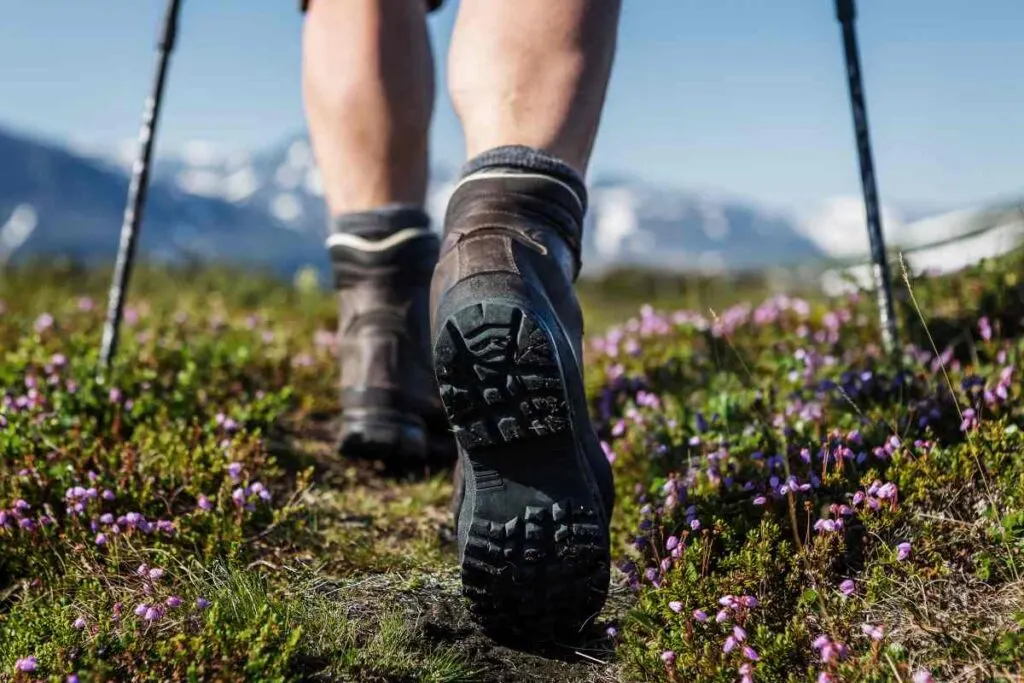 Person on a hiking trail