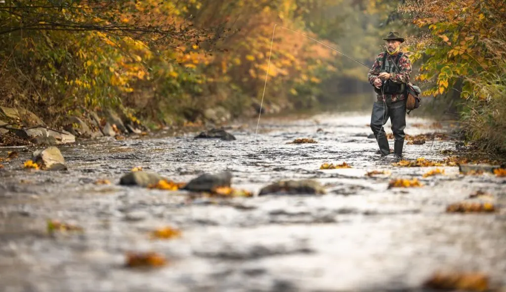 Trout fishing setup