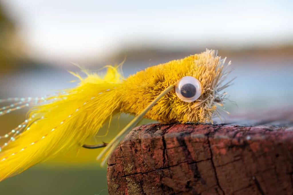 A popper lure.