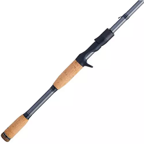best bass fishing rod