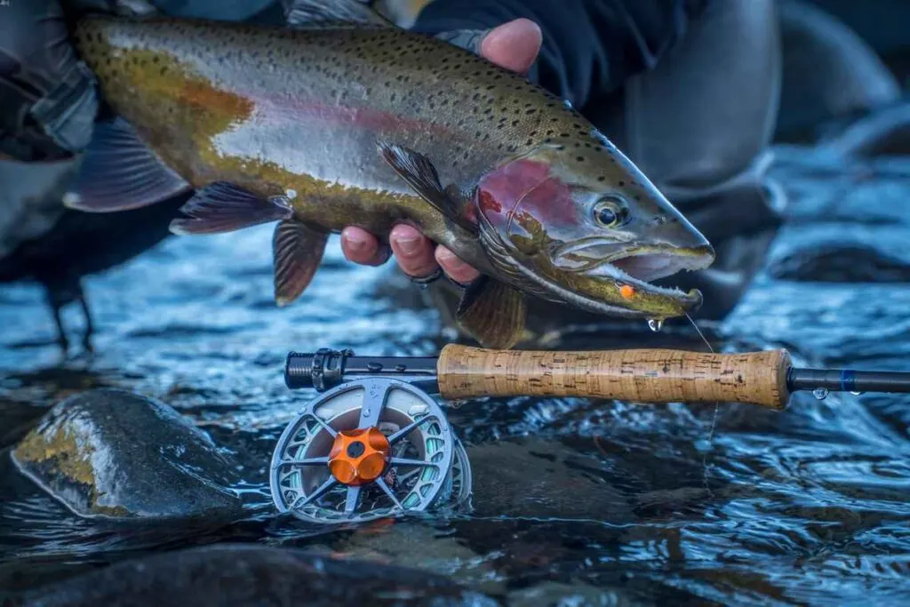 best trout fishing lures