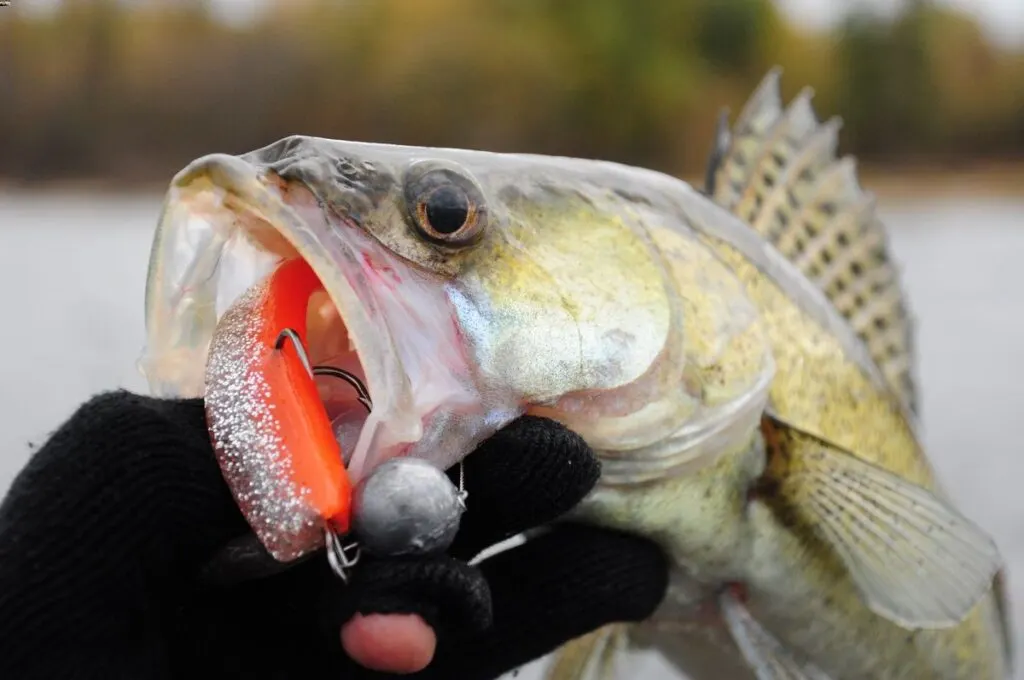best walleye fishing lures