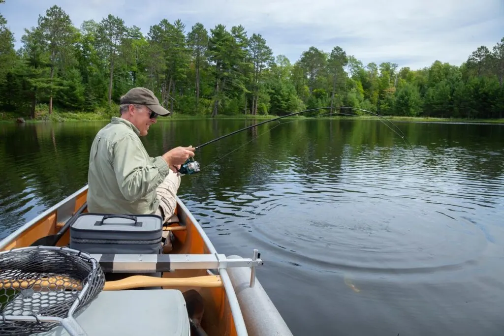 best walleye fishing lures