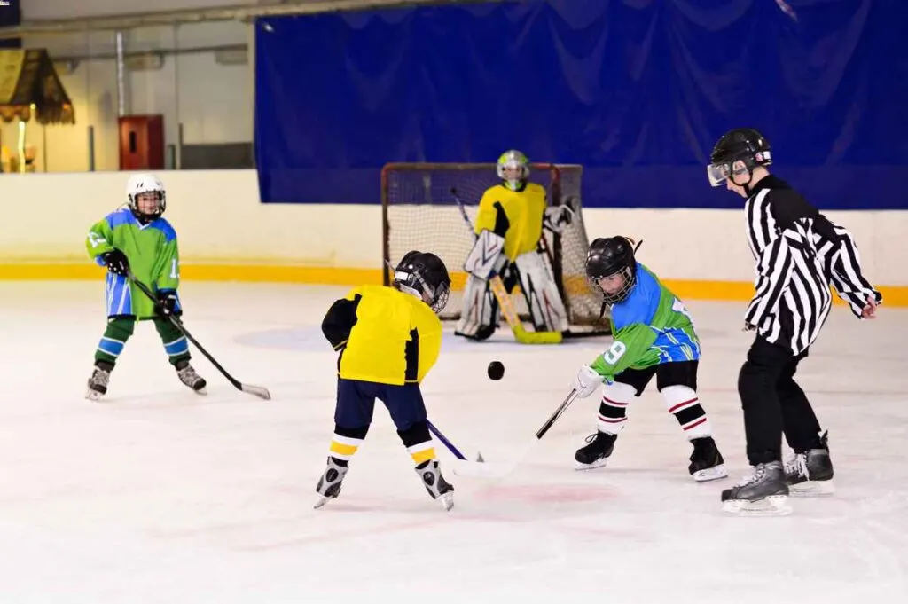 best youth hockey stick