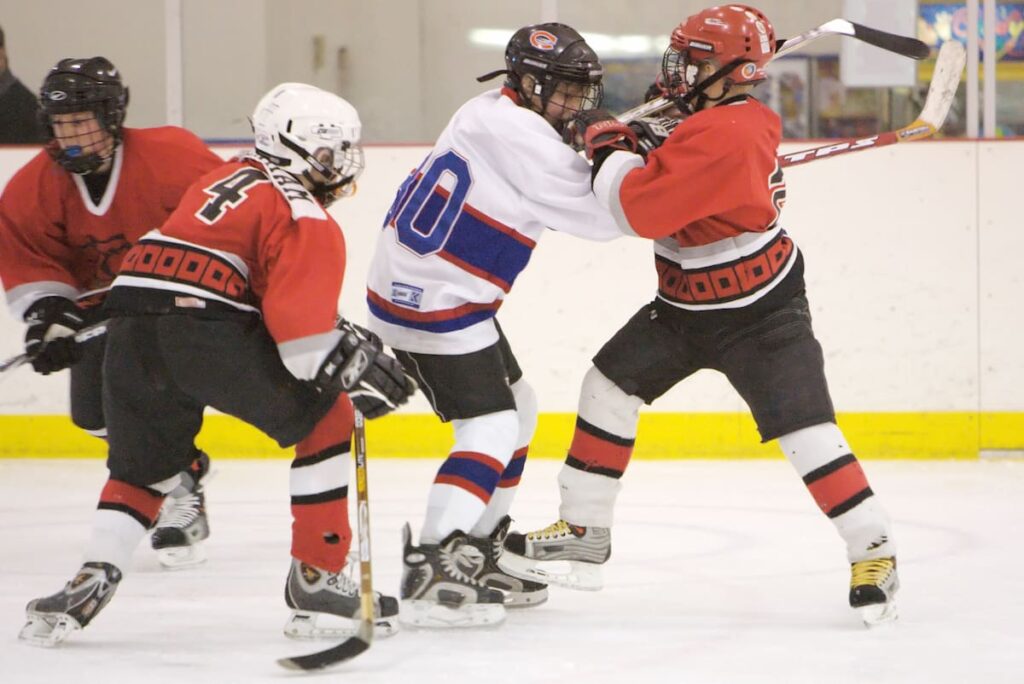 nhl hockey fights